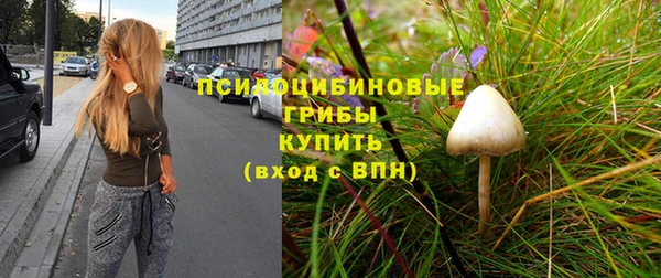 мдпв Елизово