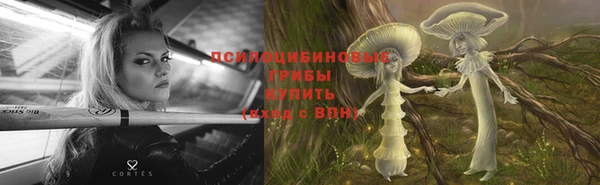 ALPHA-PVP Ельня