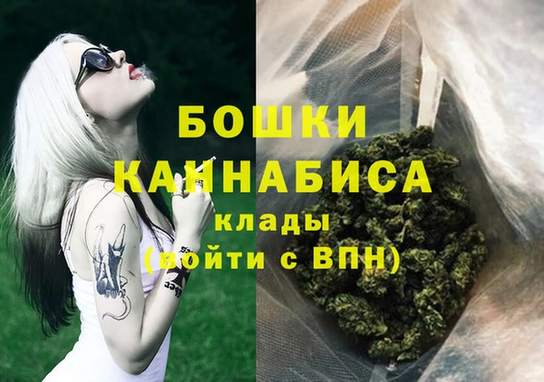 мдпв Елизово