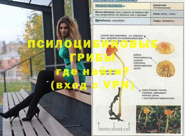 марки nbome Елабуга