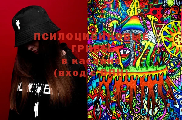 мдпв Елизово
